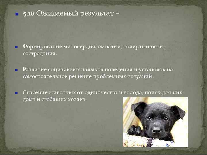5. 10 Ожидаемый результат – Формирование милосердия, эмпатии, толерантности, сострадания. Развитие социальных навыков поведения