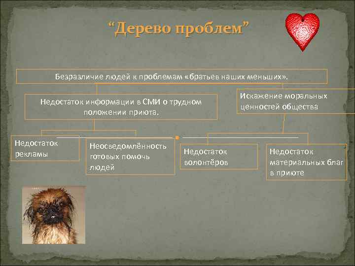 “Дерево проблем” Безразличие людей к проблемам «братьев наших меньших» . Недостаток информации в СМИ