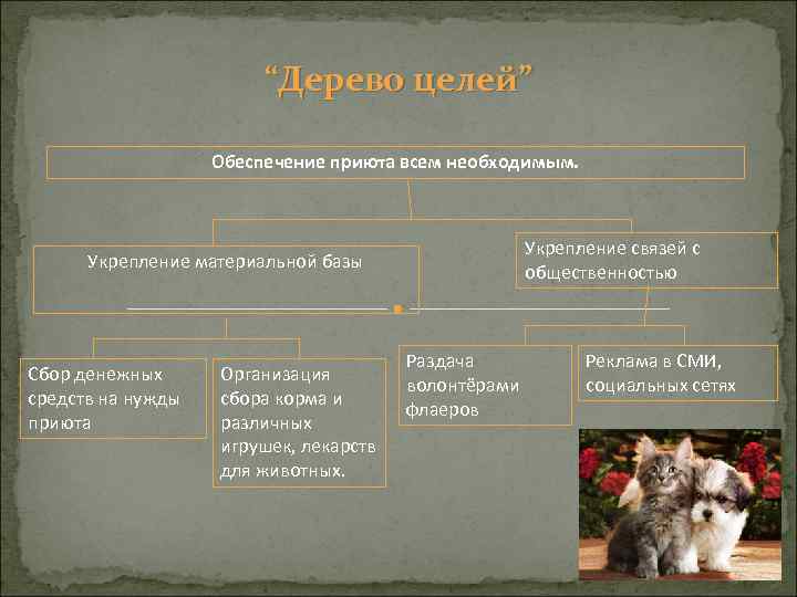 “Дерево целей” Обеспечение приюта всем необходимым. Укрепление связей с общественностью Укрепление материальной базы Сбор