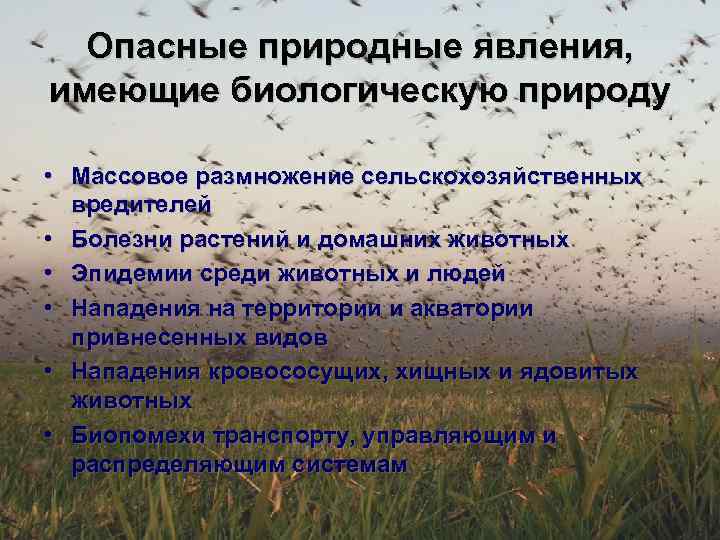 Опасные природные явления, имеющие биологическую природу • Массовое размножение сельскохозяйственных вредителей • Болезни растений