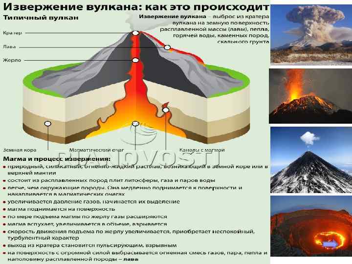 Термин который не относится к строению вулканов