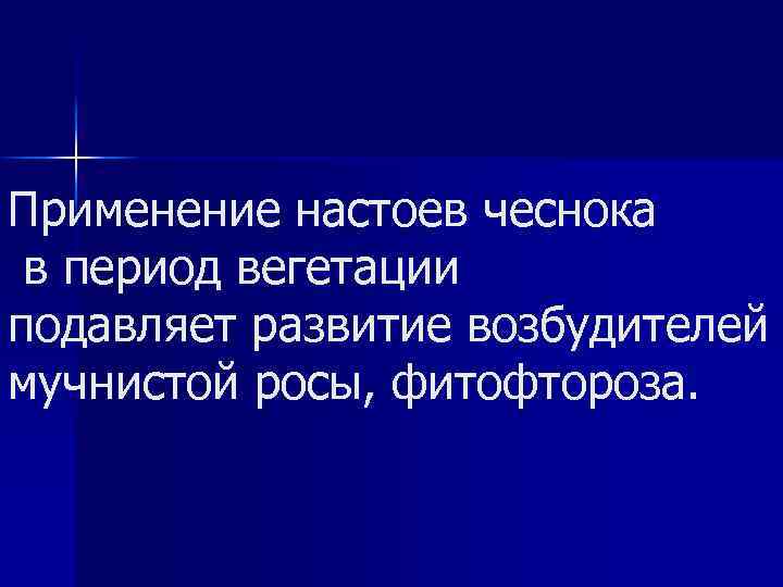 Применение настоев чеснока в период вегетации подавляет развитие возбудителей мучнистой росы, фитофтороза. 