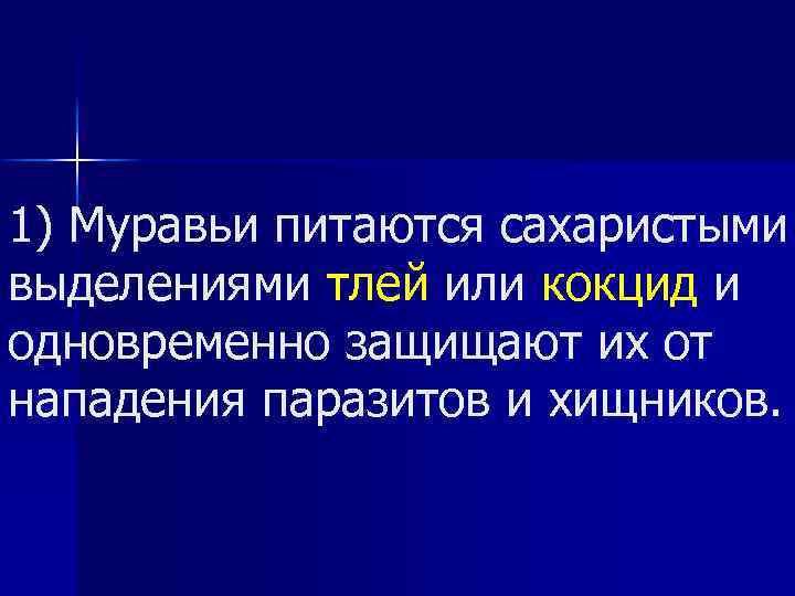 1) Муравьи питаются сахаристыми выделениями тлей или кокцид и одновременно защищают их от нападения
