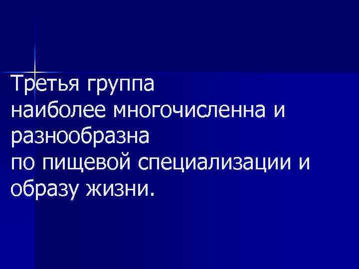 Третья группа наиболее многочисленна и разнообразна по пищевой специализации и образу жизни. 