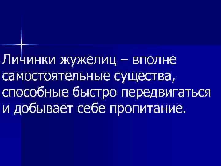 Личинки жужелиц – вполне самостоятельные существа, способные быстро передвигаться и добывает себе пропитание. 