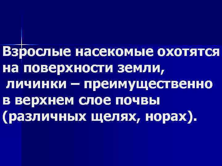 Взрослые насекомые охотятся на поверхности земли, личинки – преимущественно в верхнем слое почвы (различных