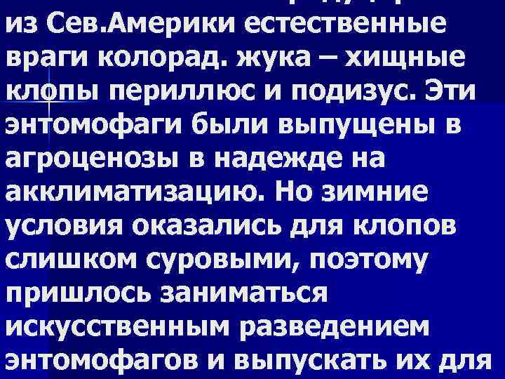 из Сев. Америки естественные враги колорад. жука – хищные клопы периллюс и подизус. Эти