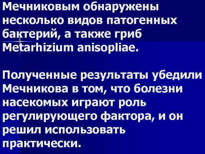 Мечниковым обнаружены несколько видов патогенных бактерий, а также гриб Metarhizium anisopliae. Полученные результаты убедили
