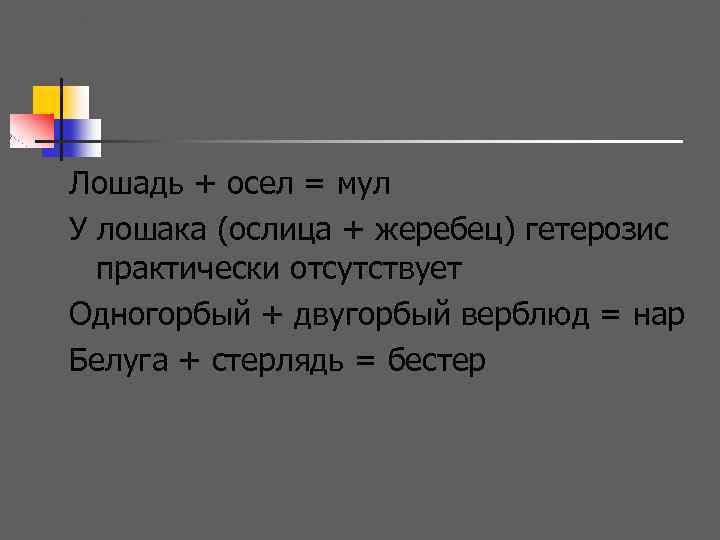 . Лошадь + осел = мул У лошака (ослица + жеребец) гетерозис практически отсутствует