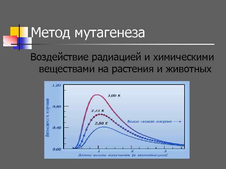 Метод мутагенеза Воздействие радиацией и химическими веществами на растения и животных 