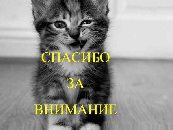 СПАСИБО ЗА ВНИМАНИЕ 