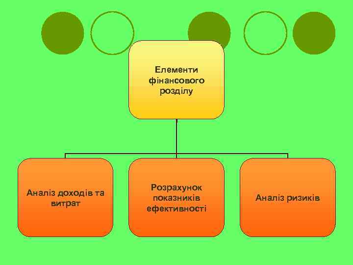 Елементи фінансового розділу Аналіз доходів та витрат Розрахунок показників ефективності Аналіз ризиків 