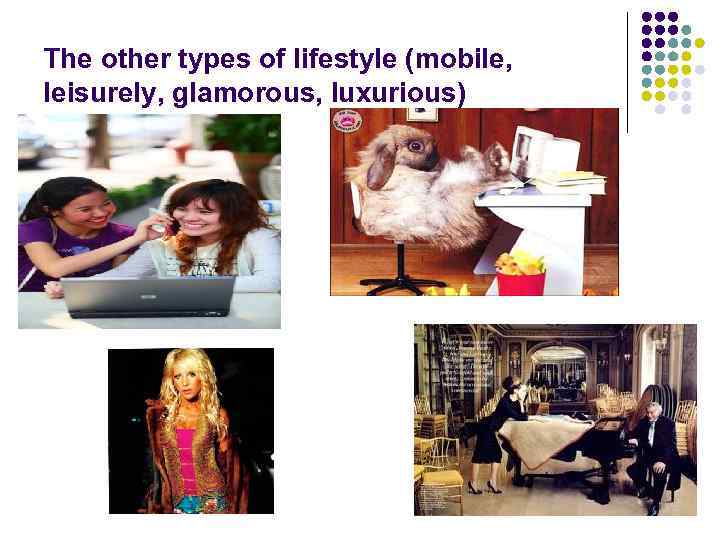 The other types of lifestyle (mobile, leisurely, glamorous, luxurious) 