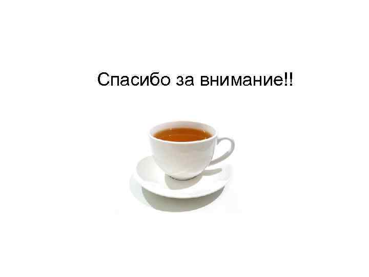 Спасибо за внимание!! 