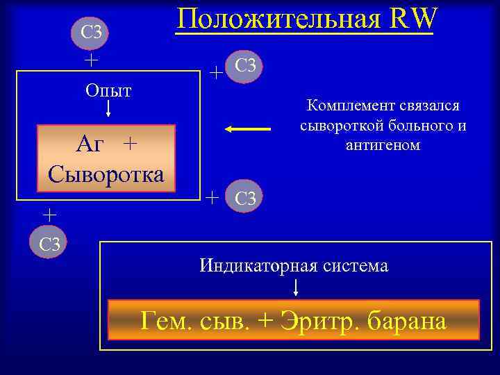 Положительная RW C 3 + + Опыт Аг + Сыворотка + C 3 Комплемент