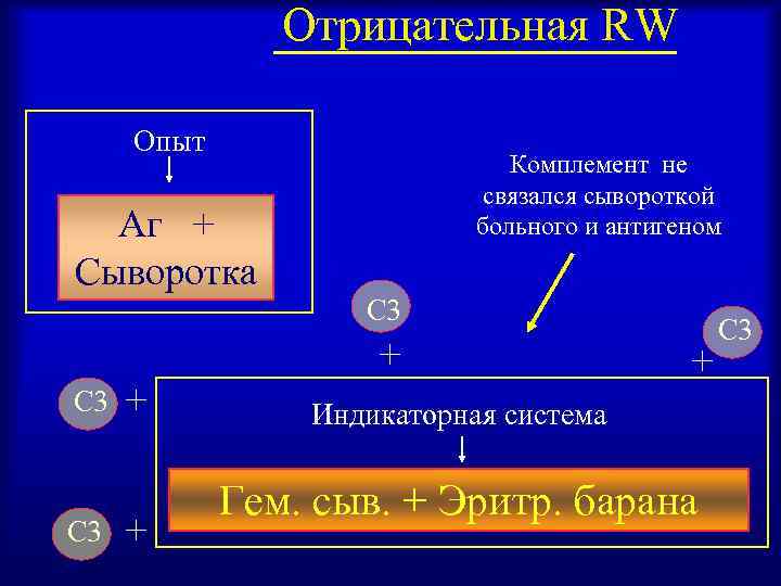 Отрицательная RW Опыт Комплемент не связался сывороткой больного и антигеном Аг + Сыворотка C