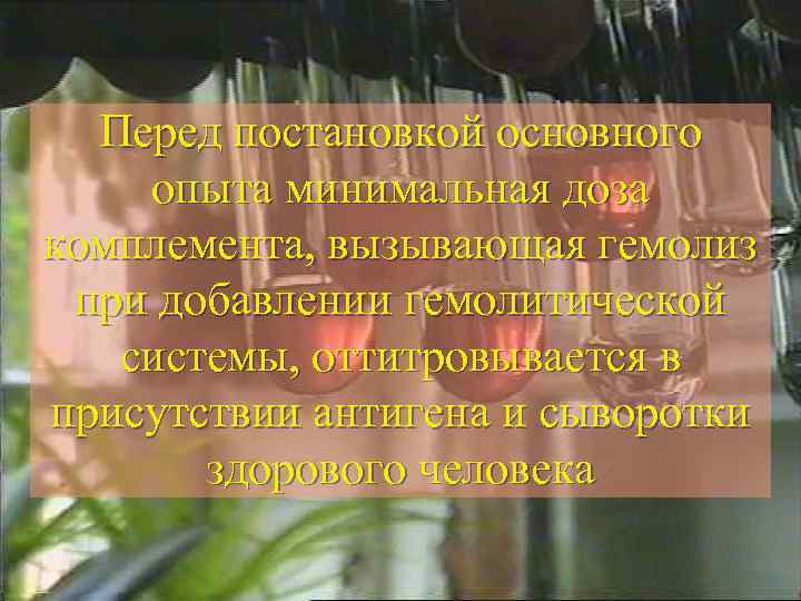 Перед постановкой основного опыта минимальная доза комплемента, вызывающая гемолиз при добавлении гемолитической системы, оттитровывается