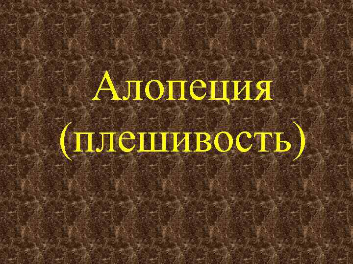 Алопеция (плешивость) 