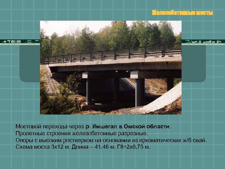 Железобетонные мосты Мостовой перехода через р. Имшегал в Омской области. Пролетные строения железобетонные разрезные.