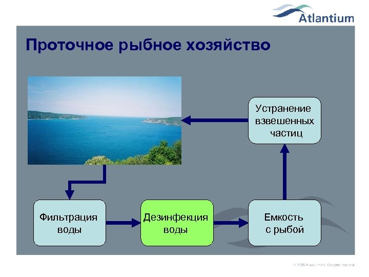 Проточное рыбное хозяйство Устранение взвешенных частиц Фильтрация воды Дезинфекция воды Емкость с рыбой 