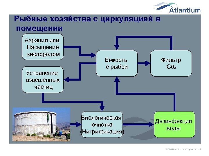 Технология 2006. Структура рыбного хозяйства. 3. Структура рыбного хозяйства.. Слабая насыщенность кислорода помещения. Основные средства в Рыбном хозяйстве.