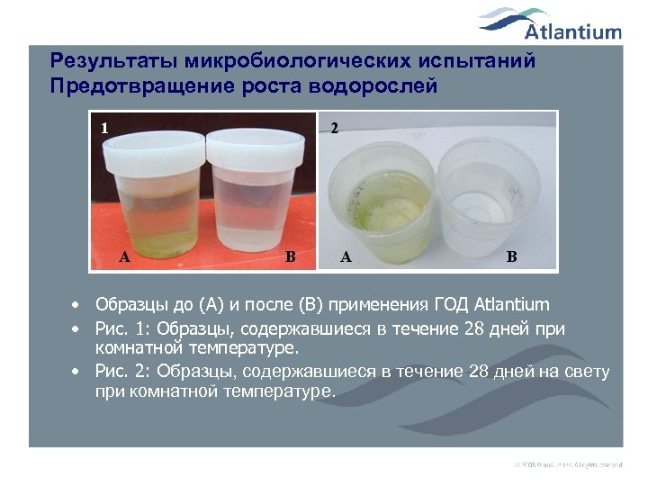 Результаты микробиологических испытаний Предотвращение роста водорослей • Образцы до (A) и после (B) применения