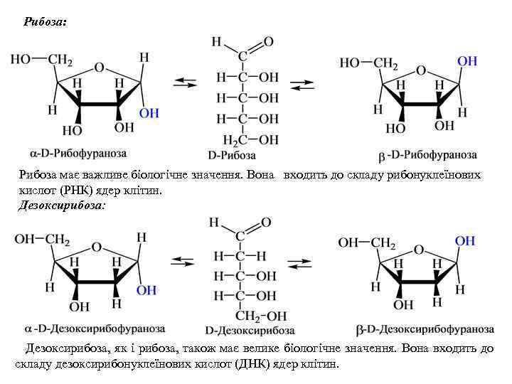 Рибоза входит в состав молекул