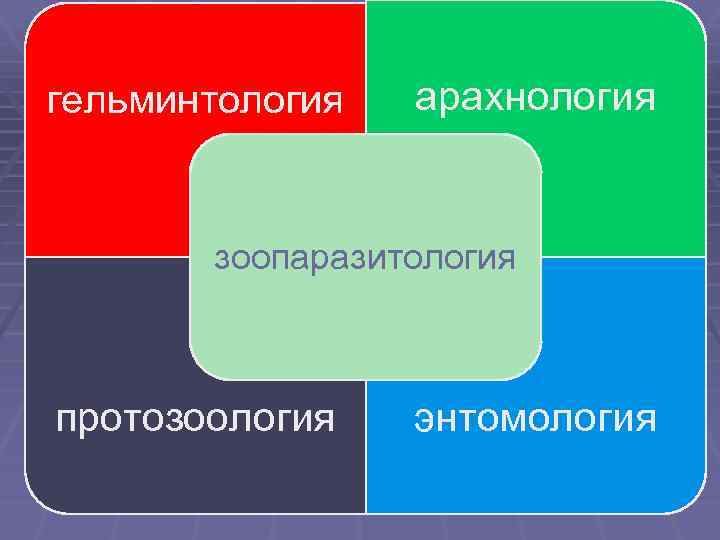 гельминтология арахнология зоопаразитология протозоология энтомология 