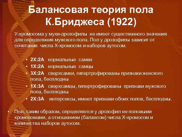 Балансовая теория пола К. Бриджеса (1922) У-хромосома у мухи-дрозофилы не имеет существенного значения для