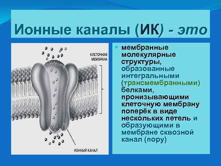 Каналы мембраны