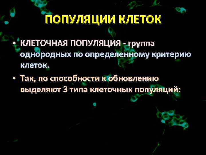 ПОПУЛЯЦИИ КЛЕТОК • КЛЕТОЧНАЯ ПОПУЛЯЦИЯ - группа однородных по определенному критерию клеток. • Так,