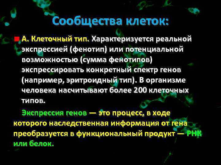 Сообщества клеток: А. Клеточный тип. Характеризуется реальной экспрессией (фенотип) или потенциальной возможностью (сумма фенотипов)