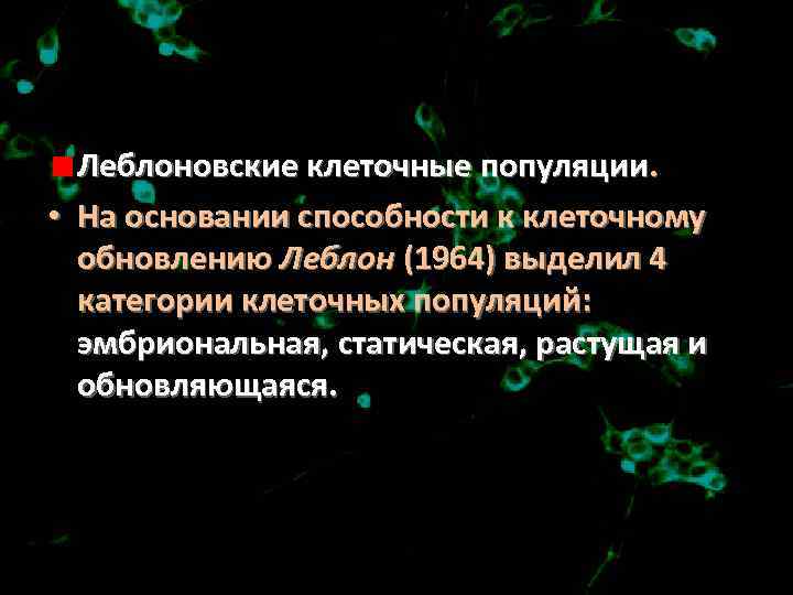 Леблоновские клеточные популяции. • На основании способности к клеточному обновлению Леблон (1964) выделил 4