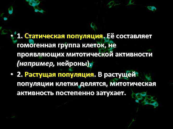  • 1. Статическая популяция. Её составляет гомогенная группа клеток, не проявляющих митотической активности