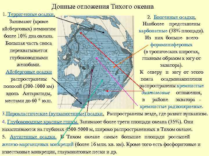 Донные отложения Тихого океана 1. Терригенные осадки. Занимают (кроме айсберговых) немногим более 10% дна