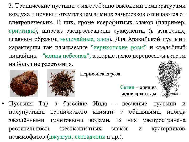  3. Тропические пустыни с их особенно высокими температурами воздуха и почвы и отсутствием
