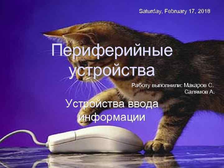 Saturday, February 17, 2018 Периферийные устройства Работу выполнили: Макаров С. Салямов А. Устройства ввода