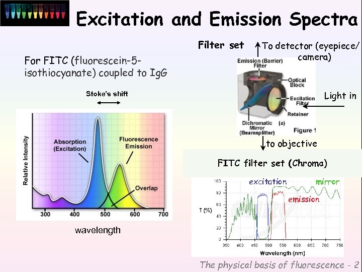 Excitation and Emission Spectra Filter set For FITC (fluorescein-5 isothiocyanate) coupled to Ig. G