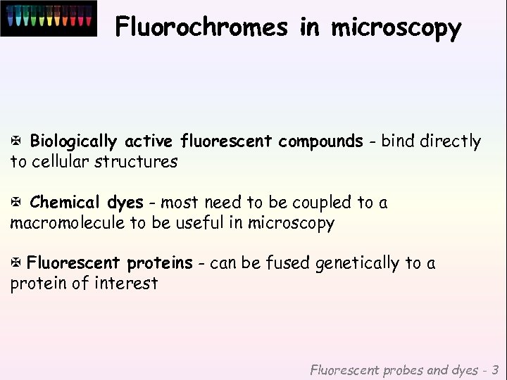 Fluorochromes in microscopy X Biologically active fluorescent compounds - bind directly to cellular structures