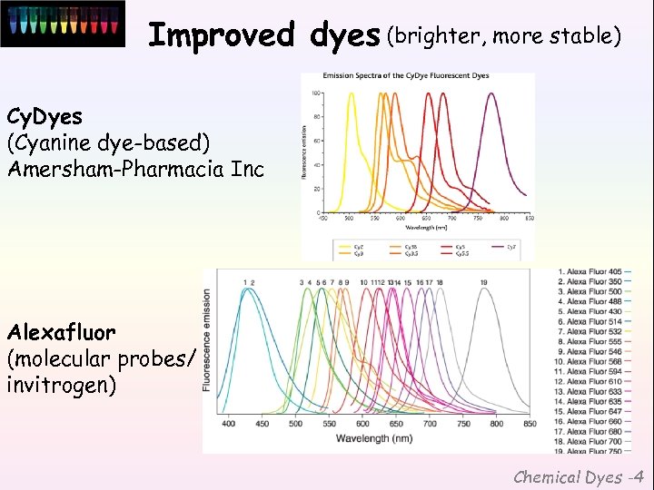Improved dyes (brighter, more stable) Cy. Dyes (Cyanine dye-based) Amersham-Pharmacia Inc Alexafluor (molecular probes/