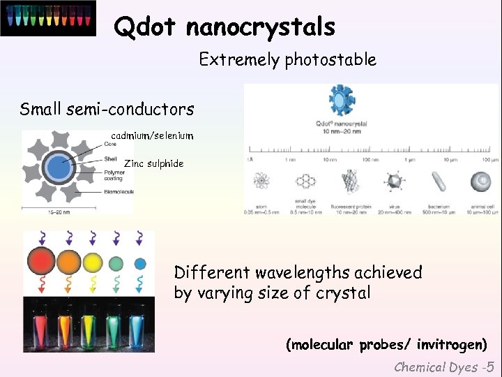 Qdot nanocrystals Extremely photostable Small semi-conductors cadmium/selenium Zinc sulphide Different wavelengths achieved by varying