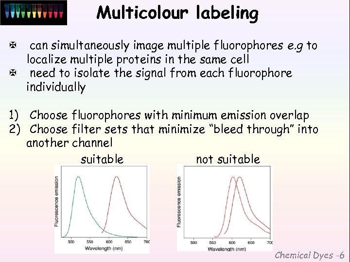 Multicolour labeling can simultaneously image multiple fluorophores e. g to localize multiple proteins in