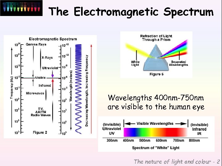 The Electromagnetic Spectrum Wavelengths 400 nm-750 nm are visible to the human eye The