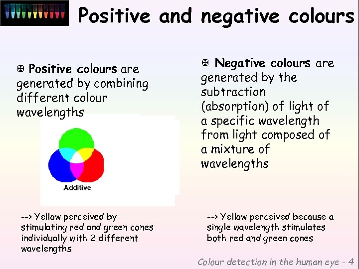 Positive and negative colours X Positive colours are generated by combining different colour wavelengths