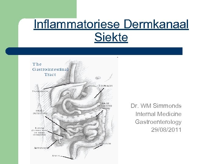 Inflammatoriese Dermkanaal Siekte Dr. WM Simmonds Internal Medicine Gastroenterology 29/08/2011 