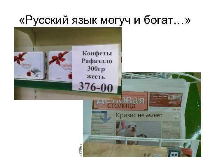  «Русский язык могуч и богат…» 