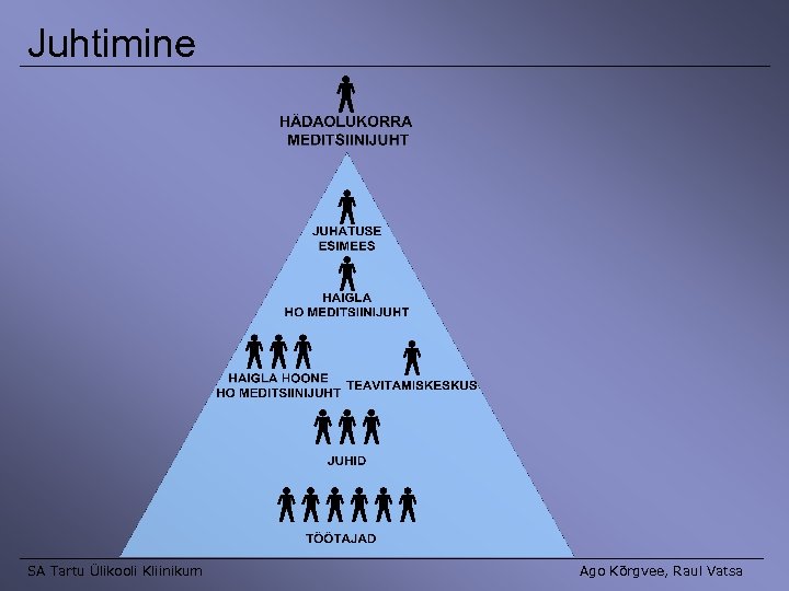 Juhtimine SA Tartu Ülikooli Kliinikum Ago Kõrgvee, Raul Vatsa 