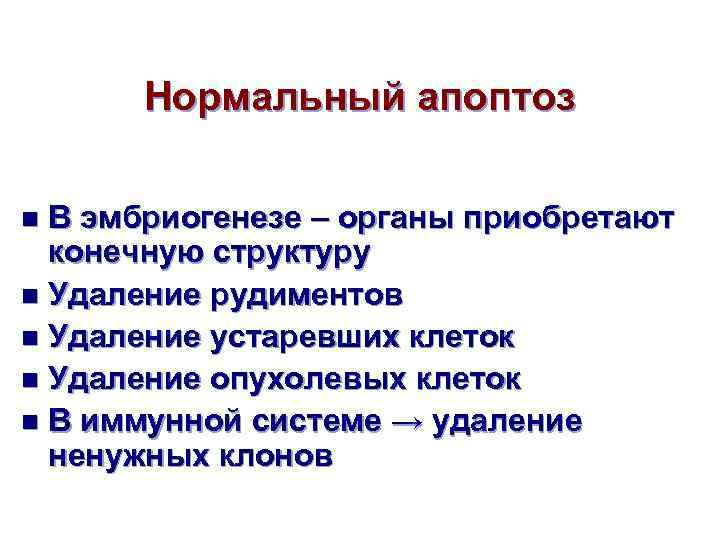 Нормальный апоптоз В эмбриогенезе – органы приобретают конечную структуру n Удаление рудиментов n Удаление