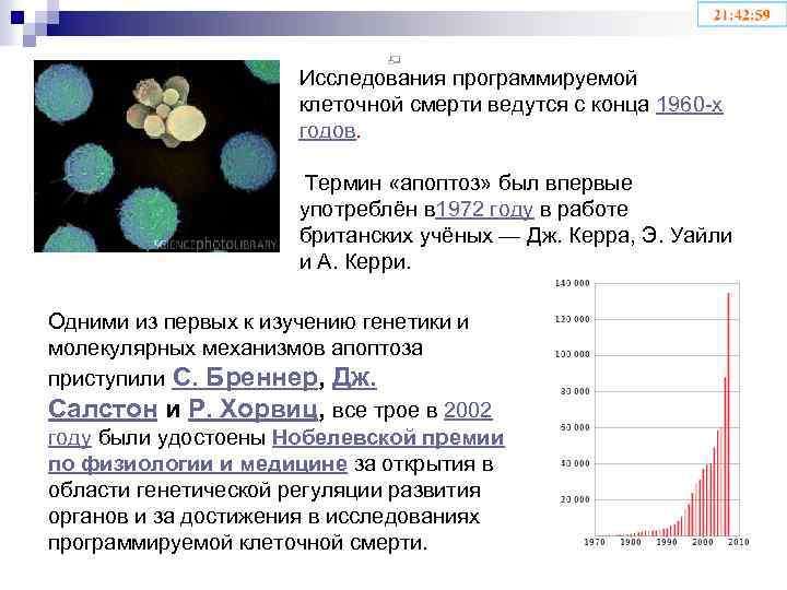 Исследования программируемой клеточной смерти ведутся с конца 1960 -х годов. Термин «апоптоз» был впервые