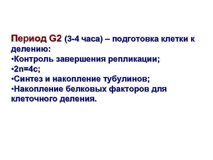 Период G 2 (3 -4 часа) – подготовка клетки к делению: • Контроль завершения